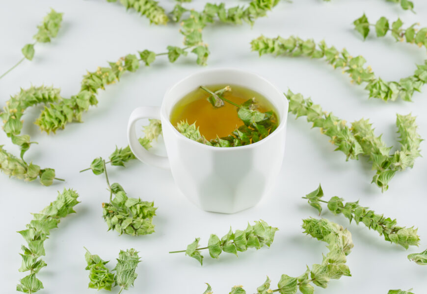 moringa tea benefits